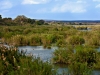 ЮАР. Национальный парк Крюгер (3)