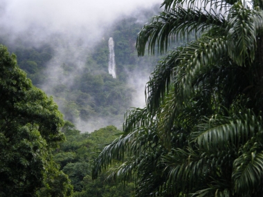 Гондурас. Национальный парк Пико-Бонито