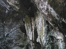 Capricornia Caves1.jpg