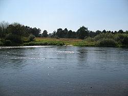 Река Жиздра в Чернышено