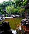 Yuyuan Garden.jpg