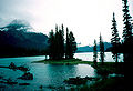 Maligne Lake, Jasper.JPG