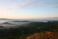 Kakamega-rainforest-sunrise.jpg