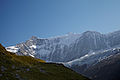 Grindelwald2 dm.jpg
