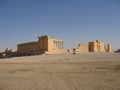 Fortified Temple of Bel Palmyra Syria.jpg