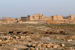 Palmyra 03.jpg