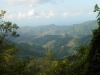 Ямайка. Голубые горы