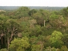Бразилия. Дождевые леса Амазонки -1