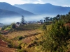 Бутан. Долина Пунакха -1