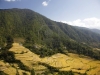 Бутан. Долина Пунакха -2