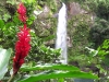 Фиджи. Водопады Таворо (2)