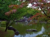 Хассельт. Японский сад