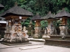Индонезия. Бали. Гунунг Кави (2)