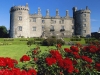 Ирландия. Замок Килкенни (2)