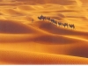 Китай. Пустыня Такла-Макан -3