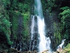 Коста-Рика. Национальный парк Корковадо -1