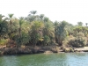 Египет. Берега Нила (2)