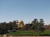 Египет. Берега Нила (3)