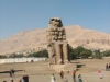Египет. Колосс Мемнона (1)