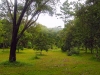 Гондурас. Ботанический сад Лансетилла (1)