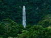 Гондурас. Национальный парк Пико-Бонито (3)
