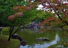 Хасселт. Японский сад