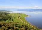 Кения. Озеро Накуру