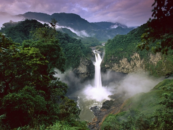 Бразилия. Дождевые леса Амазонки
