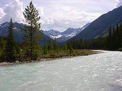 Kootenay National Park Kootenay River.JPG