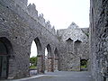 Ardfert Cathedral6.JPG