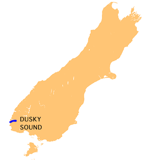 NZ-Dusky S.png