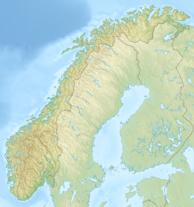 Тюин (Норвегия)