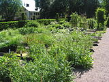 Linnetradgarden.jpg