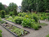 Linnetradgarden 2.jpg