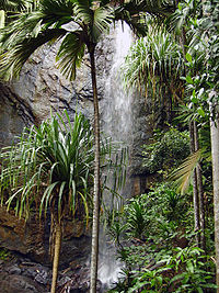 Vallee de mai4.jpg