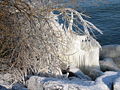 Ice bodensee.jpg