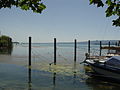 Radolfzell Uferpromenade4.JPG