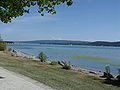 Radolfzell uferpromenade 2.JPG