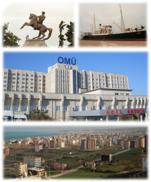 Lupus-Collage Samsun.png